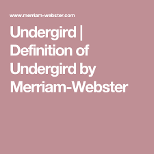 Undergird Definition Of Undergird By Merriam Webster Vengeance Lassitude Tete De