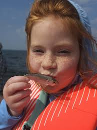 Recommended fishing guide