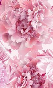 Pink Peonies Window Curtains Pink Wallpaper Iphone Flower Phone Wallpaper Peony Wallpaper