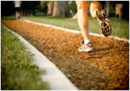 Image result for low intensity and long term cardio