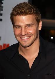 David Boreanaz
