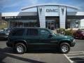 Image result for Forest Green 1999 Durango