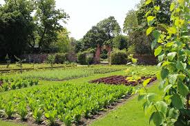 Er hatte von seinem vater, landgraf ernst ludwig, den palaisgarten geerbt und dann den angrenzenden garten des generalleutnants rudolf von pretlack dazugekauft. Prinz Georg Garten In Darmstadt Der Barocker Lust Und Nutzgarten