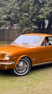 Image result for Anniversary Gold 1966 Mustang