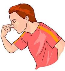 Image result for Epistaxis