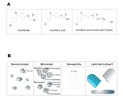 A Review Of Currently Available Fenofibrate And Fenofibric