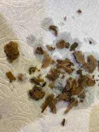 L'or barista coffee machine descaler. On The Fence About Descaling Your Espresso Machine See Here