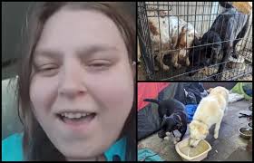 Lori Maxwell aka Kameo Poodles. A show breeder apparently