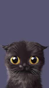 Kitty Cat Wallpaper Binatang Hewan Kucing