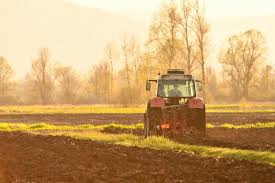 Sprzedaż gruntu rolnego - kiedy podlega zwolnieniu z PIT i VAT?