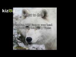 Grow Wolf Ears Spell Youtube