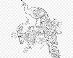 Menakjubkan 14 Gambar Burung Merak Kartun Pada Postingan Kali Ini Admin Akan Berbagi Seputar Gambar Burung Merak Kartun Yang Kami Postin Di 2020 Kartun Gambar Sketsa