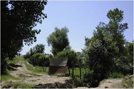 Plus there are no loo's too. The Northern Neolithic Of The Western Himalayas New Research In The Kashmir Valley Sciencedirect