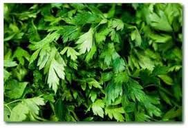 Image result for ‫سبزيجات‬‎
