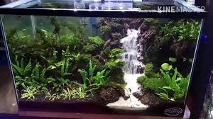 Fish Tank Fish Tank Waterfall Striking Photo Concept Aquascape Fresh Water Fish Tank Aquarium Sand Aquarium Landscape