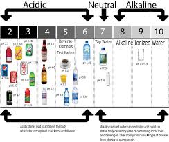 Homemade Alkaline Water The Cheap Alternative For Alkaline
