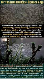 Tamer Ezel Adli Kullanicinin Message Panosundaki Pin Bilgi Bilgi Karti Bilim Doga
