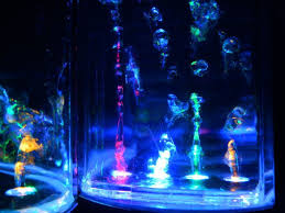 Pin On Lights For Your Room