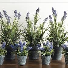Top picks from plant experts. Botanical Blooms The Best Artificial House Plants Ideal Home