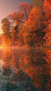 Autumn iphone x wallpaper on photobest1.com. Best Autumn Iphone Hd Wallpapers Ilikewallpaper