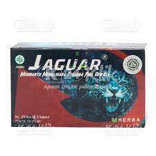 Jaguar Manfaat Dosis Efek Samping K24klik Com