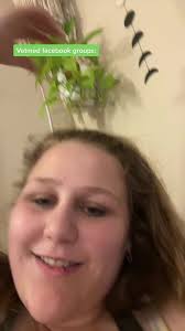 Vet Med Facebook Groups: Answers to Common Pet Owner Questions