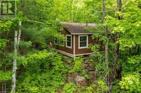 Rustic cabin rental with views of golden lake in renfrew county, ontario. 1052 Rat Bay 103 Deerview Fractional Cottage Week 6 Road Lake Of Bays Twp Ontario For Sale 48 477 Chestnut Park Real Estate Limited