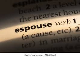 نتیجه جستجوی لغت [espouse] در گوگل