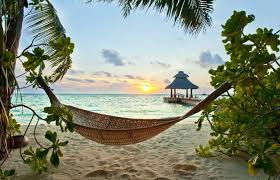 26 صورة ستجعلك ترغب السفر إلى جزر المالديف beach wallpaper outdoor tropical paradise