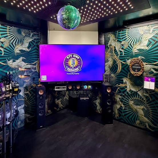 KTV-Entertainment. Start a Private Karaoke Business