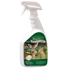 Things that are made with bone meal or blood meal are especially effective, as they are. Repellex Deer And Rabbit Repellent 32 Oz Ready To Use Qc Supply