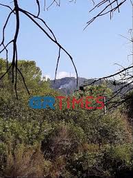 Σύμφωνα με την ενημέρωση της πυροσβεστικής, η φωτιά ξεκίνησε σε κορυφογραμμή με πυκνή βλάστηση και μέχρι στιγμής δεν απειλεί κατοικίες. Hloqbobxthqn2m