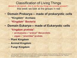 Classification Of Living Things Based On Lab Manual This Is Not The Way Things Are Currently Grouped This Week We Look At The Groups In Red Domain Ppt Download
