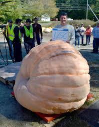 Maine Giant Pumpkins