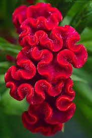 Pin On Exkisita Naturaleza
