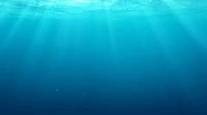 Search, discover and share your favorite dory gifs animation online. Finding Dory Gifs Get The Best Gif On Giphy