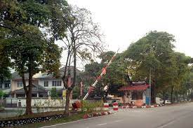 Taman negara is a national park in peninsular malaysia. Taman Bunga Negara For Sale In Shah Alam Propsocial