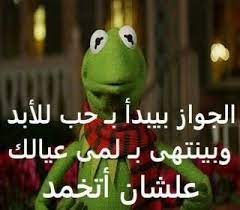12 صورة نكت خلفيات رمزيات الضفدع كيرميت صورة 6 in 2021 funny picture jokes funny reaction pictures morning quotes funny