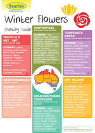 There are blossoms on some trees and many flowers grow. Gardening And Planting Calendar Australian Climates Winter Flowers Searles Gardening