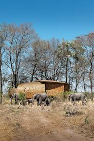 Maybe you would like to learn more about one of these? Beyond Sandibe Okavango Safari Lodge Visi