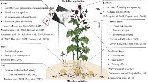 Monday through friday hours of operation: Frontiers Ros And Oxidative Response Systems In Plants Under Biotic And Abiotic Stresses Revisiting The Crucial Role Of Phosphite Triggered Plants Defense Response Microbiology