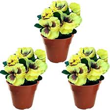 Flower seeds, plants & bulbs for your garden. Home Crafts Artificial Pansy Flowers Set Of 3 Fake Plants For Outdoor Or Indoor Use Faux Flower Decorations With Fade Resistant Colour Pots Not Included Yellow Amazon Co Uk