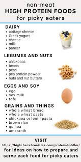 Non Meat Protein Sources For Toddlers High Protein Recipes Picky Eater Recipes Baby Food Recipes
