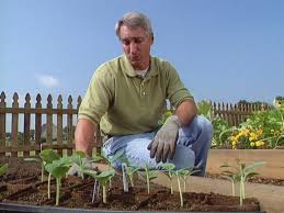 We did not find results for: How To Start Growing Squash From Seeds How Tos Diy