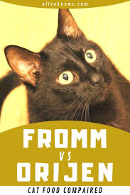 See more of orijen dog and cat food on facebook. Fromm Vs Orijen Cat Food Decide Now My Honest Pick Oliveknows Cat Food Cats Best Cat Food