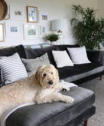 You can read real customer reviews for this or any other sectional sofas and even ask questions and get answers from us or straight from the brand. Caitlin By The Everygirl Custom Sectional Sofa Interior Define