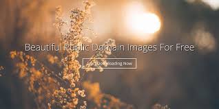 31 Free Public Domain Image Websites Collect, curate and comment on your files.