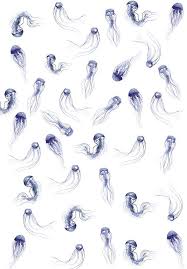 Jellyfish Jellyfish Tattoo Jellyfish Painting Jellyfish Illustration