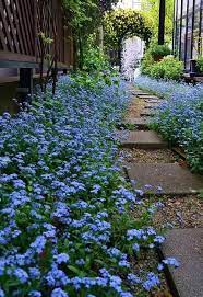 wonderful pictures like these can give you ideas for your small green space flowers home drea small garden design small cottage garden ideas cottage garden