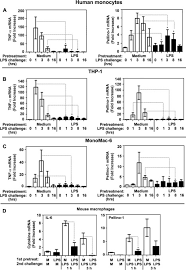 Still working after 90 (2014), взаперти (2020) and fatal friend request (2019). Pellino 1 Positively Regulates Toll Like Receptor Tlr 2 And Tlr4 Signaling And Is Suppressed Upon Induction Of Endotoxin Tolerance Journal Of Biological Chemistry